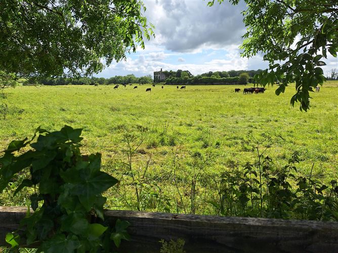 Kilmallock, Grange, Limerick