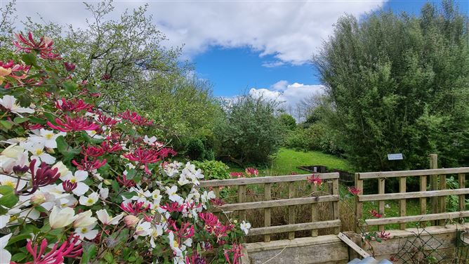 Four Winds, Ardoughter, Ballyduff, Kerry
