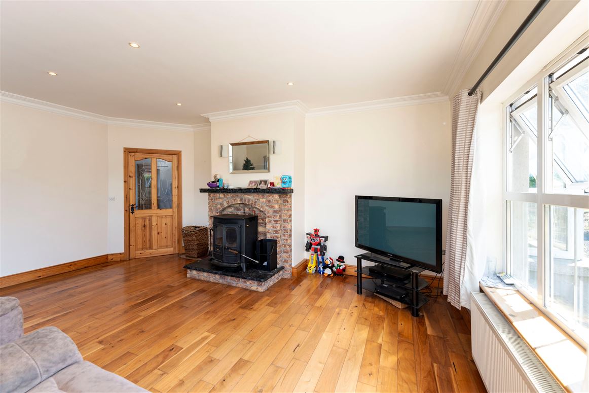 Newtown , Elton, Limerick