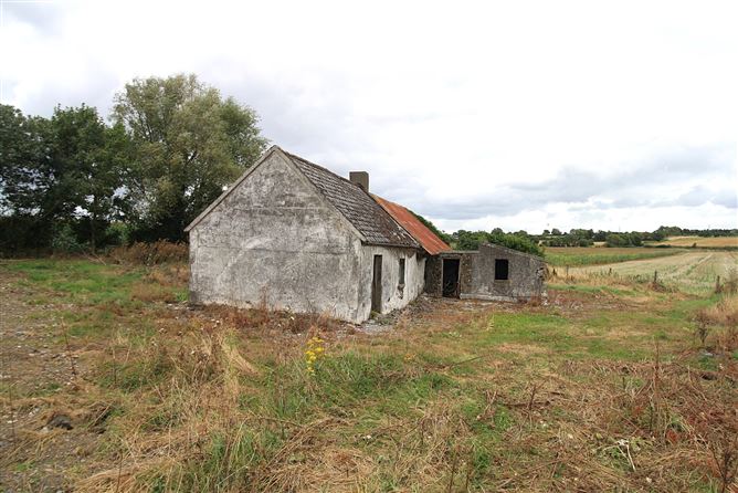 Derelict Cottage At, Garryhundon, Ballybar, Carlow