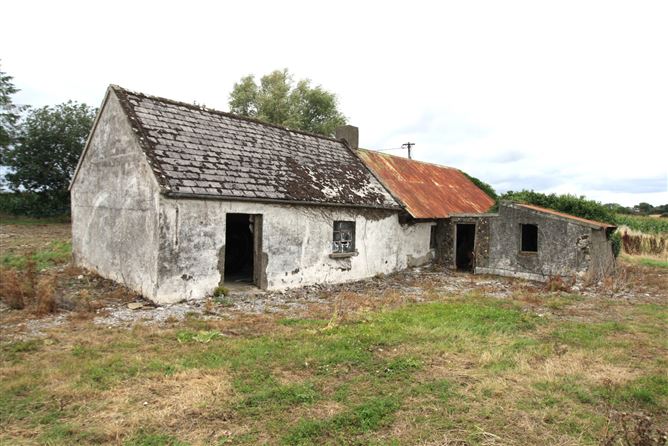 Derelict Cottage At, Garryhundon, Ballybar, Carlow
