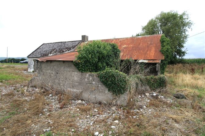 Derelict Cottage At, Garryhundon, Ballybar, Carlow