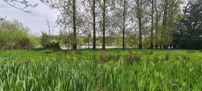 Mocmoyne, Boyle, Roscommon