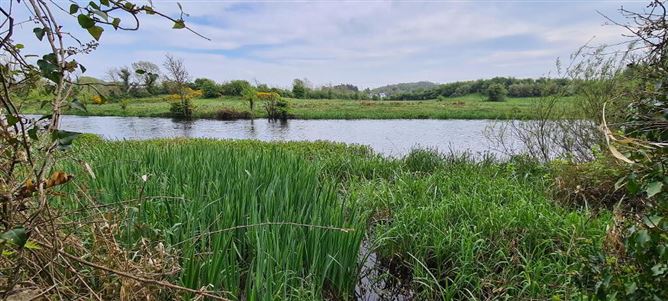 Mocmoyne, Boyle, Roscommon