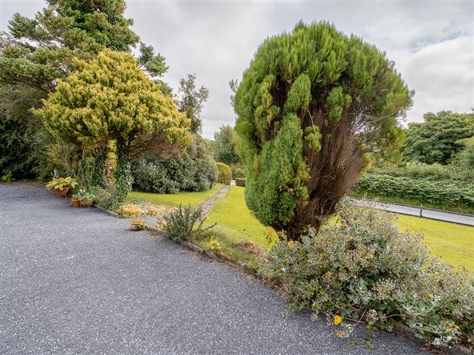Carrighill, Carrighill, Meallaghmore Upper, Windgap, Co. Kilkenny, Windgap, Kilkenny