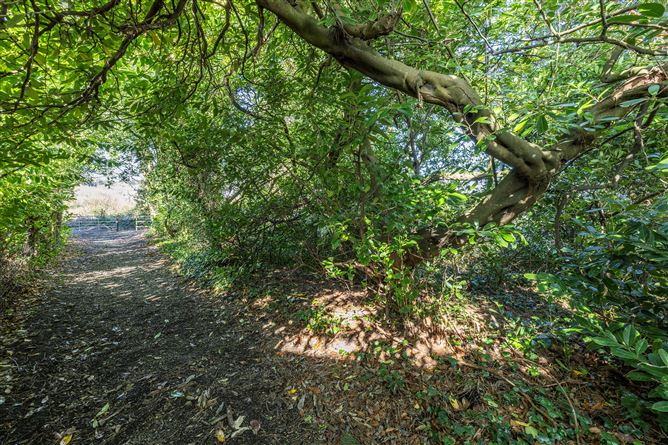 Glencormac Garden, Glencormack South, Kilmacanogue, Bray, Co. Wicklow