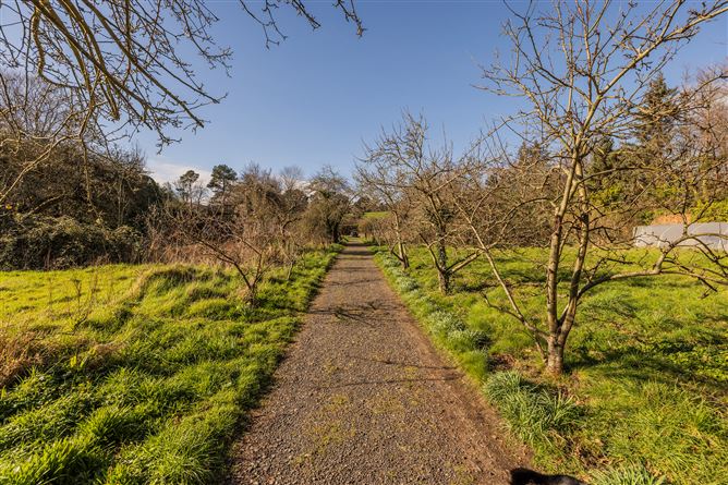 Glencormac Garden, Glencormack South, Kilmacanogue, Bray, Co. Wicklow