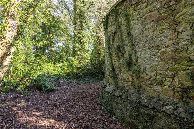 Glencormac Garden, Glencormack South, Kilmacanogue, Bray, Co. Wicklow