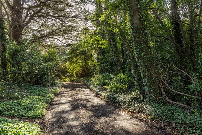 Glencormac Garden, Glencormack South, Kilmacanogue, Bray, Co. Wicklow