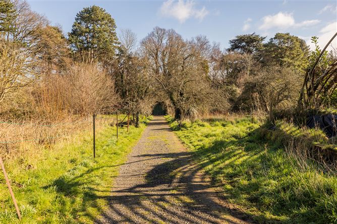 Glencormac Garden, Glencormack South, Kilmacanogue, Bray, Co. Wicklow