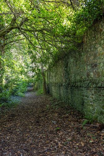 Glencormac Garden, Glencormack South, Kilmacanogue, Bray, Co. Wicklow