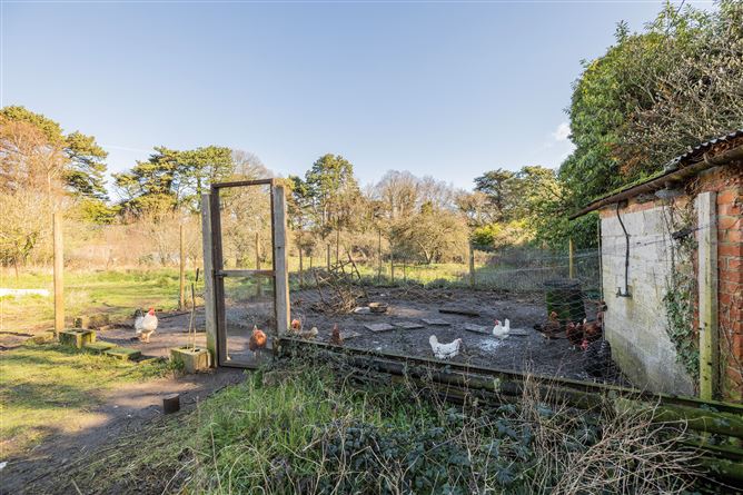 Glencormac Garden, Glencormack South, Kilmacanogue, Bray, Co. Wicklow