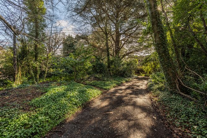 Glencormac Garden, Glencormack South, Kilmacanogue, Bray, Co. Wicklow