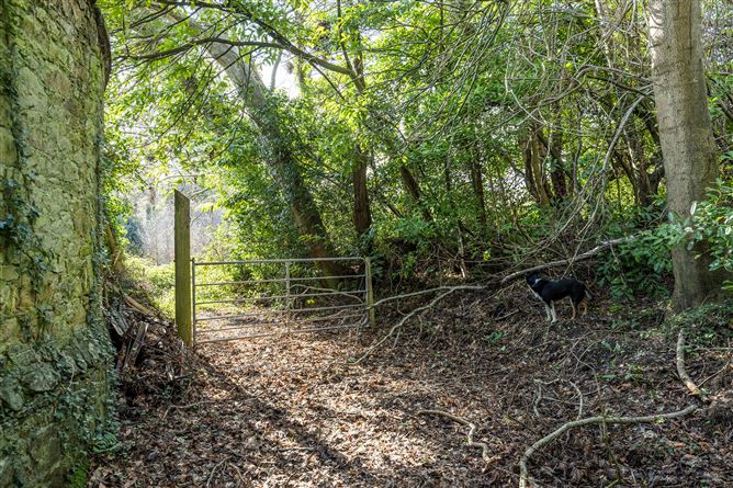 Glencormac Garden, Glencormack South, Kilmacanogue, Bray, Co. Wicklow