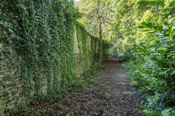 Glencormac Garden, Glencormack South, Kilmacanogue, Bray, Co. Wicklow