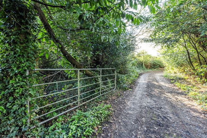 Glencormac Garden, Glencormack South, Kilmacanogue, Bray, Co. Wicklow