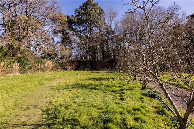 Glencormac Garden, Glencormack South, Kilmacanogue, Bray, Co. Wicklow