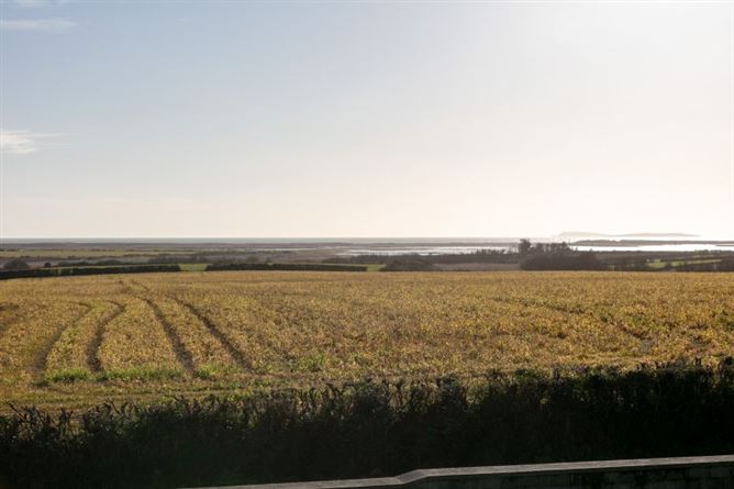 Churchtown, Tacumshane, Wexford