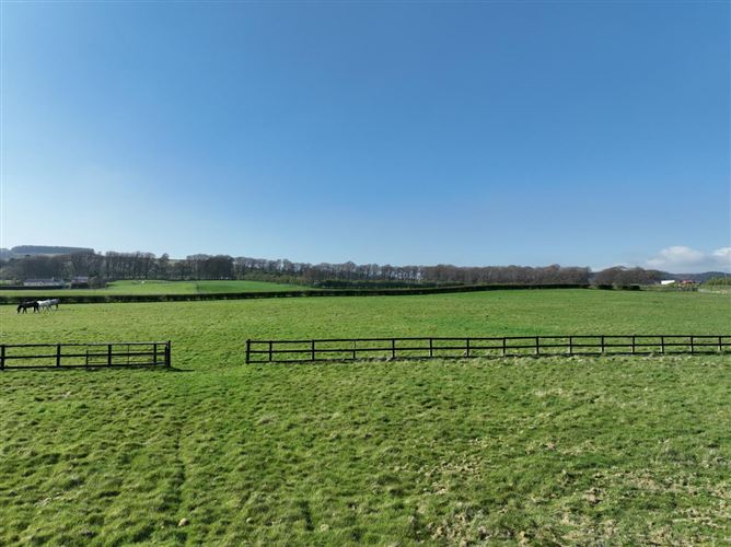 Chevron On c. 9.1 Acres, Blessington, Wicklow