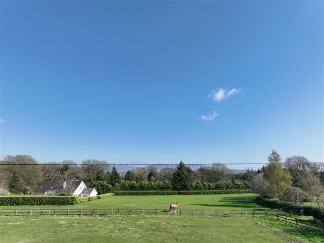 Chevron On c. 9.1 Acres, Blessington, Wicklow