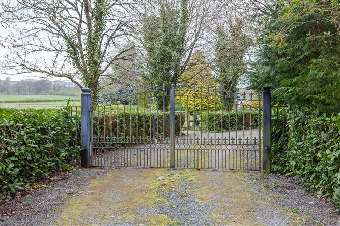 Chevron On c. 9.1 Acres, Blessington, Wicklow