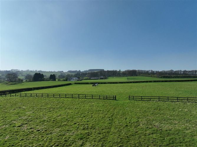 Chevron On c. 9.1 Acres, Blessington, Wicklow