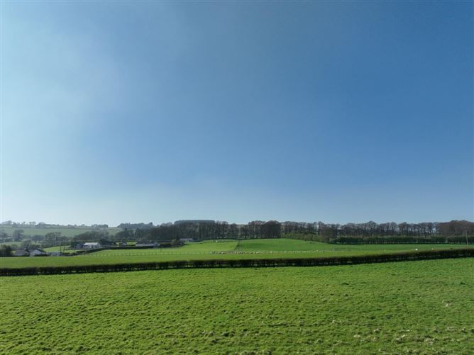 Chevron On c. 9.1 Acres, Blessington, Wicklow