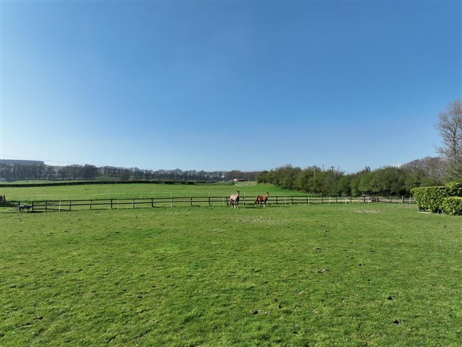 Chevron On c. 9.1 Acres, Blessington, Wicklow