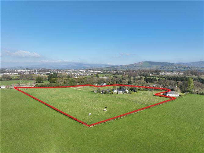 Chevron On c. 9.1 Acres, Blessington, Wicklow