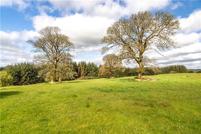 https://photos-a.propertyimages.ie/media/1/1/5/4996511/7b9d3830-3500-4e38-b6e1-8123866dccfb_l.jpg