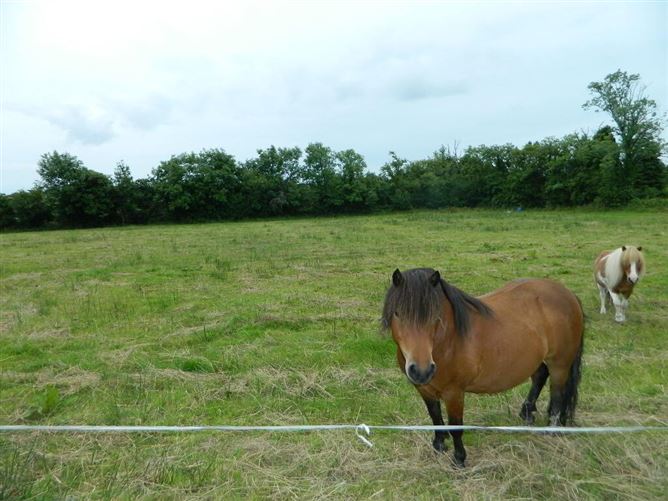Rossaun, Aughavas, County Leitrim