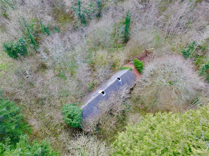 Mullaghycullen, Drumcong, Co. Leitrim, LM8255F (For ID)