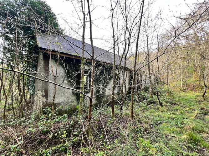Mullaghycullen, Drumcong, Co. Leitrim, LM8255F (For ID)