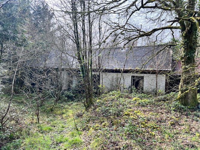 Mullaghycullen, Drumcong, Co. Leitrim, LM8255F (For ID)