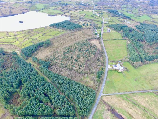 Mullaghycullen, Drumcong, Co. Leitrim, LM8255F (For ID)