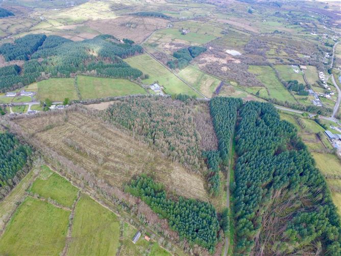 Mullaghycullen, Drumcong, Co. Leitrim, LM8255F (For ID)