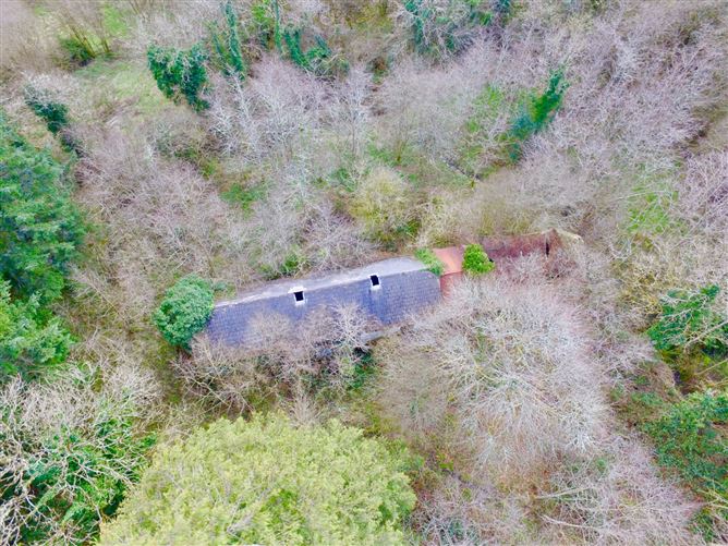 Mullaghycullen, Drumcong, Co. Leitrim, LM8255F (For ID)