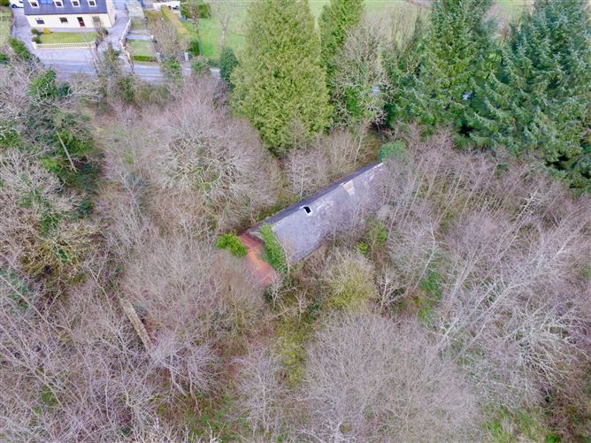 Mullaghycullen, Drumcong, Co. Leitrim, LM8255F (For ID)
