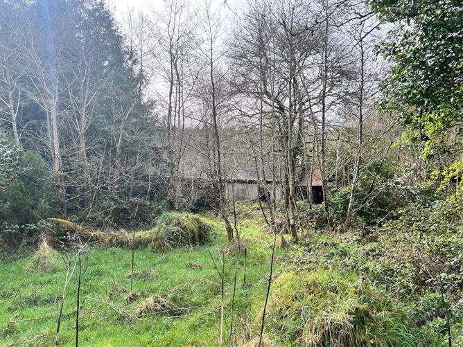 Mullaghycullen, Drumcong, Co. Leitrim, LM8255F (For ID)