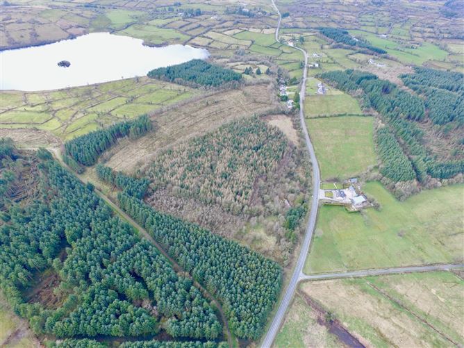 Mullaghycullen, Drumcong, Co. Leitrim, LM8255F (For ID)