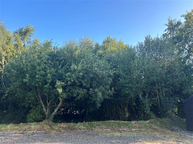 'Ananda Lodge', Donishall, Carnew, Wicklow