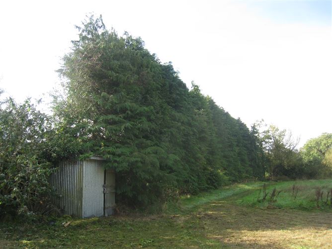 Mary's Cottage, Moor, Ardagh, Longford