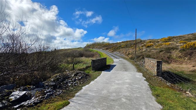 Shepperton, Shreelane , Skibbereen, West Cork