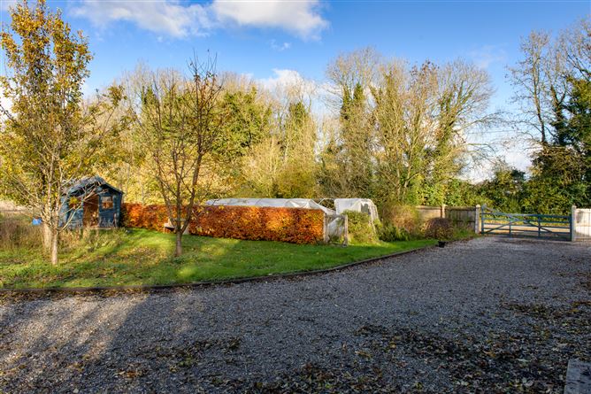 Ballintemple, Walsh Island, Geashill, Offaly