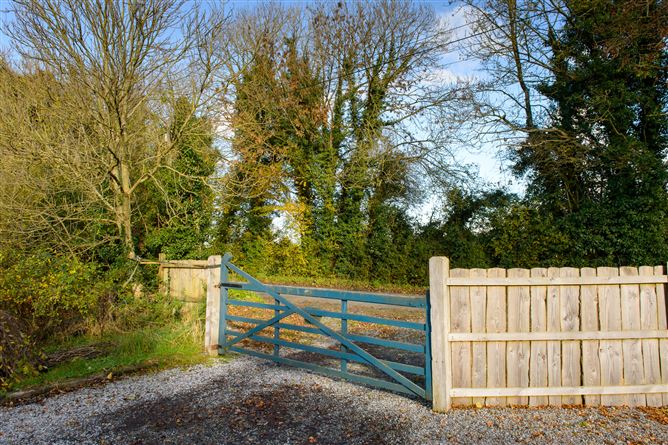 Ballintemple, Walsh Island, Geashill, Offaly