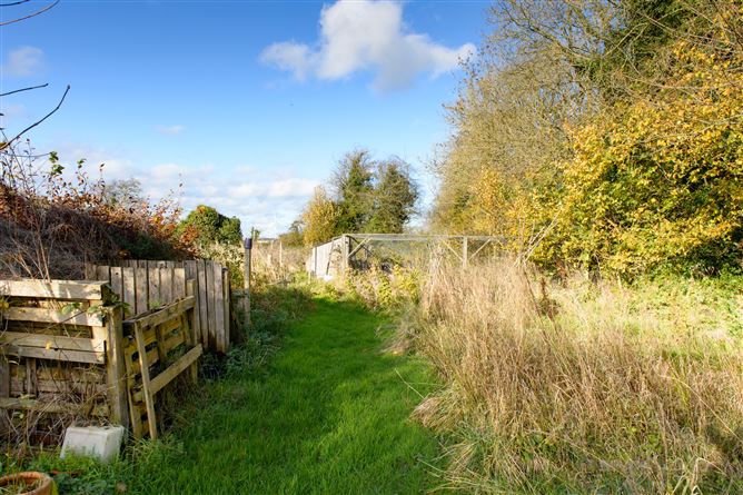 Ballintemple, Walsh Island, Geashill, Offaly