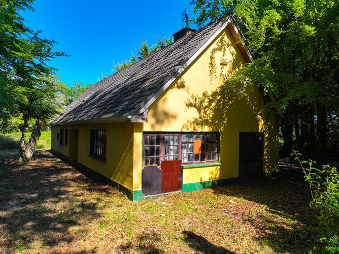 Winward, Fontstown, Athy, Co. Kildare