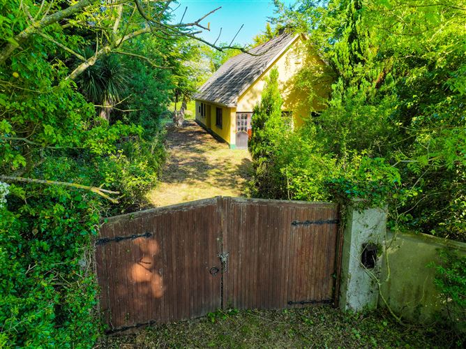 Winward, Fontstown, Athy, Co. Kildare