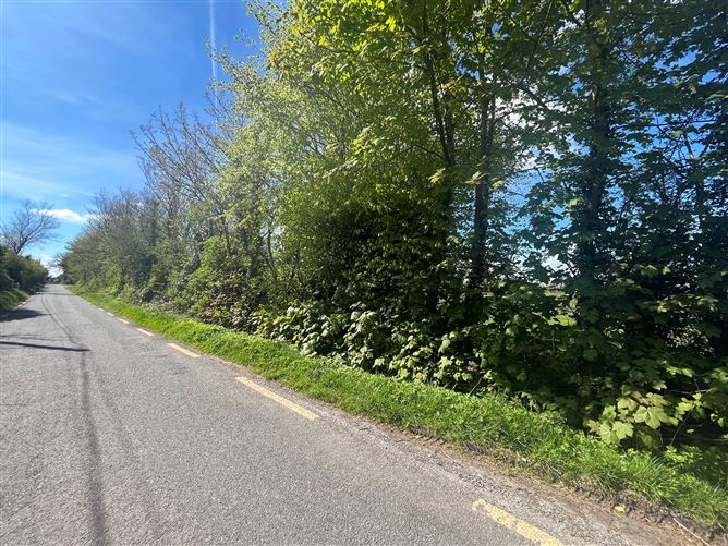 Photo 7 of 12 — Windfield Upper , Menlough , Ballinasloe, Co. Galway