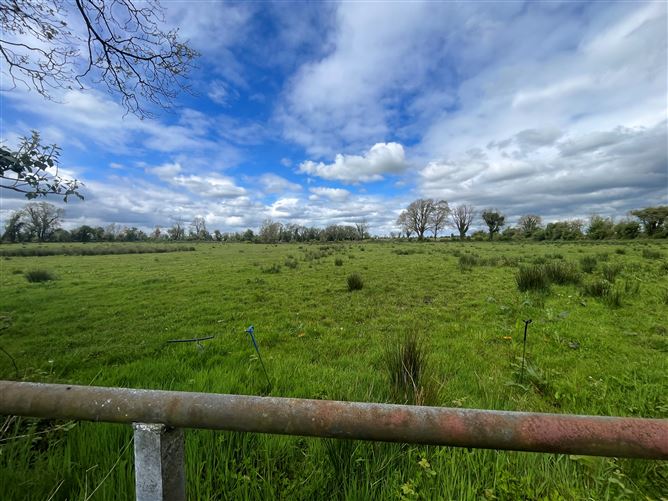 Photo 10 of 12 — Windfield Upper , Menlough , Ballinasloe, Co. Galway